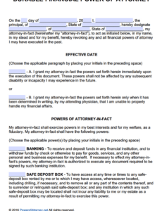 Editable Power Of Attorney General Template Excel