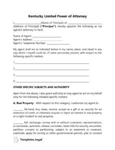 Free Special Power Of Attorney General Template Word Sample