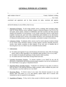 Professional Power Of Attorney General Template  Example