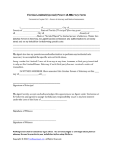 Professional Power Of Attorney General Template Excel