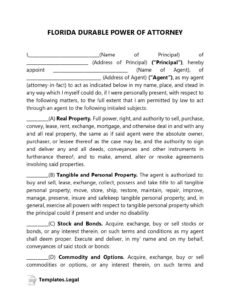 Professional General Power Of Attorney Template Word