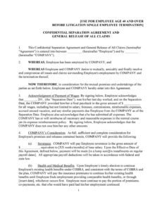 Professional Severance Agreement And General Release Template  Example