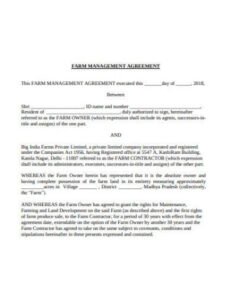 Costum General Manager Contract Template Word Sample