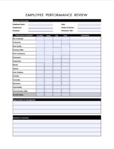 Costum General Performance Review Template Excel