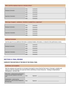 Free General Performance Review Template  Sample