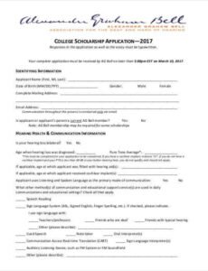 Free General Scholarship Application Template Excel Sample
