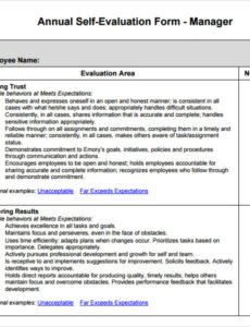 Printable General Manager Performance Review Template Doc Example