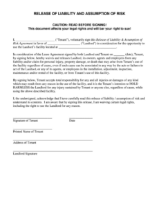 Professional General Disclaimer Form Template  Example