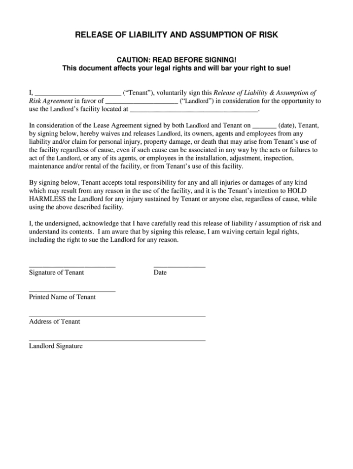 Professional General Disclaimer Form Template  Example