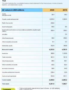 Editable Consolidated Balance Sheet Template Pdf Sample