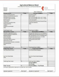 Free Rental Property Balance Sheet Template Pdf Example
