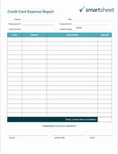 Professional Credit Card Balance Sheet Template Excel Sample