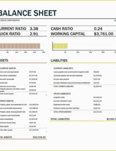 Professional Credit Card Balance Sheet Template  Sample