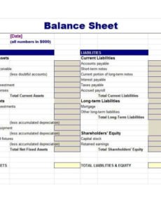 Professional Divorce Balance Sheet Template Pdf Example