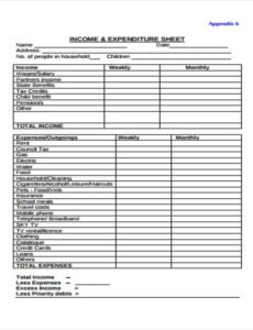 Costum Expense Balance Sheet Template Excel Sample