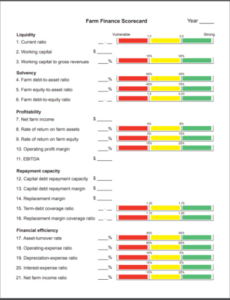 Costum Farm Credit Balance Sheet Template Word Example