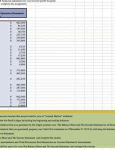 Costum Hospital Balance Sheet Template Excel Sample