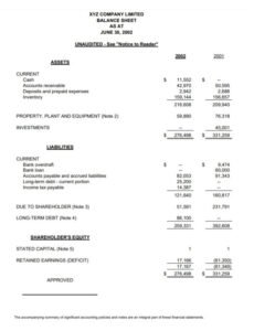 Costum Llc Balance Sheet Template Word