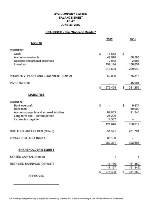 Costum Llc Balance Sheet Template Word