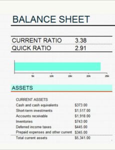 Costum Opening Day Balance Sheet Template  Sample