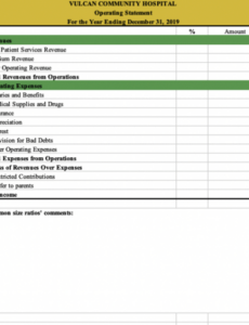 Editable Hospital Balance Sheet Template Pdf