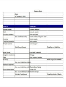 Editable Insurance Agency Balance Sheet Template Doc Example