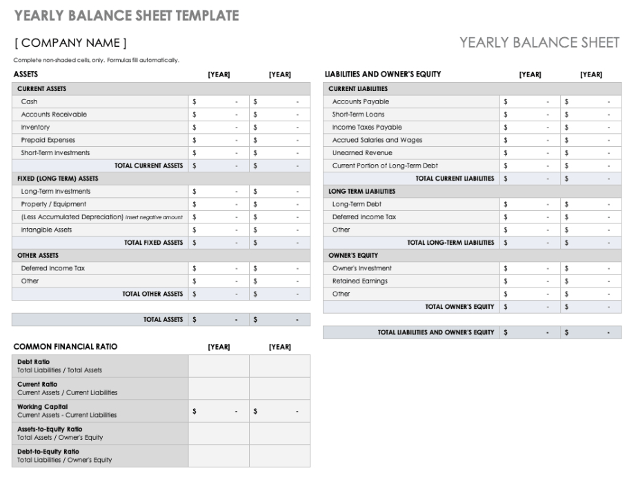 Editable New Business Balance Sheet Template Pdf Example