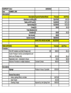 Editable Nonprofit Balance Sheet Template Excel Sample