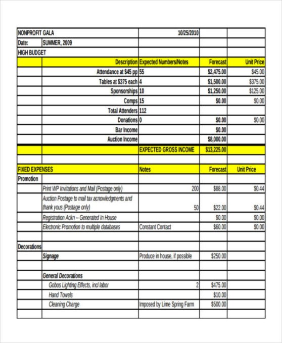 Editable Nonprofit Balance Sheet Template Excel Sample