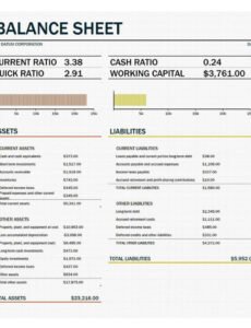 Free Llc Balance Sheet Template Doc Example