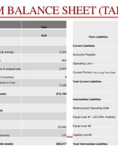 Printable Farm Credit Balance Sheet Template Excel Example
