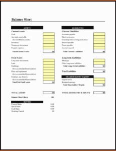 Printable New Business Balance Sheet Template Excel Example