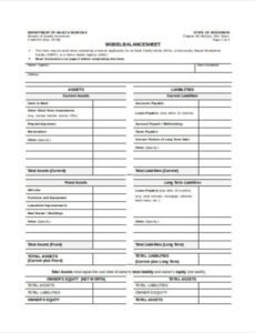 Professional Insurance Agency Balance Sheet Template Pdf
