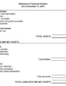 Professional Nonprofit Balance Sheet Template