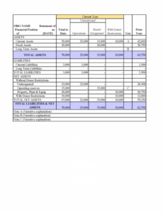 Professional Nonprofit Balance Sheet Template Doc Example