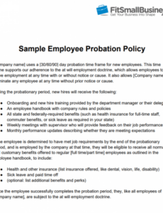 Editable 3 Month Trial Period Employment Contract Template