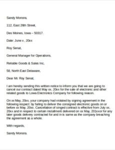 Professional 30 Day Notice Contract Termination Letter Template Doc Example