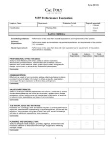 Best Self Evaluation For Performance Review Template Excel