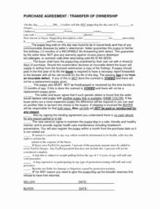 Editable Business Sales Contract Template  Example
