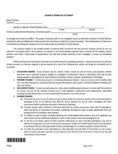 Professional Health Care Power Of Attorney Template  Example