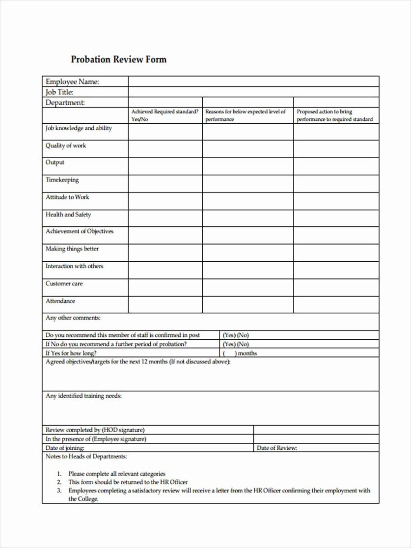 Best 90 Day Probation Period For New Employee Contract Template Excel Sample