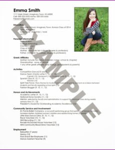 Costum Admin Assistant Employment Contract Template Pdf Sample