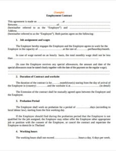 Costum Shop Assistant Employment Contract Template  Example