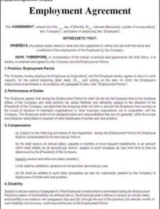 Editable Chiropractic Assistant Employment Contract Template  Sample