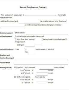 Professional Chiropractic Assistant Employment Contract Template