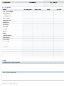 Account Manager Performance Review Template Pdf