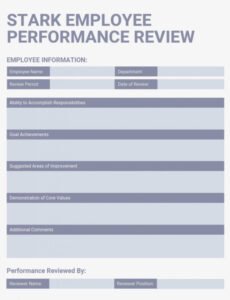 Best Manager Tools Performance Review Template Excel Sample