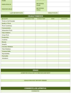 Best Senior Executive Performance Review Template Word