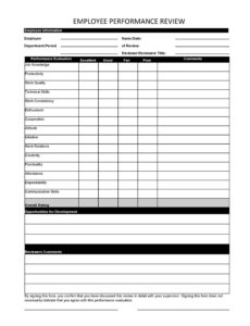 Costum 30 Day Performance Review Template Doc Example