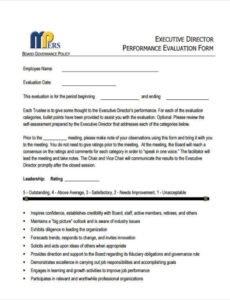 Costum Nonprofit Executive Director Performance Review Template Word